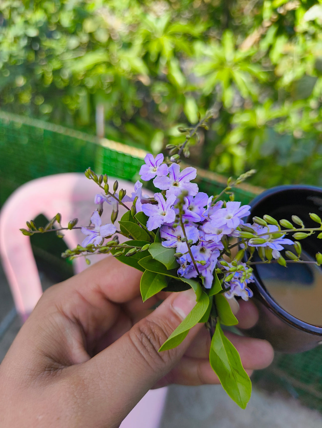 A bunch of blossoms from our garden.